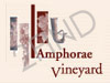 amphoraevineyard